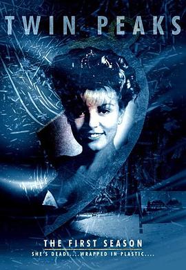 Twin Peaks Staffel 1